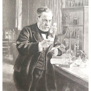 Louis Pasteur In His Laboratory Photogravure Victorian 1894 Albert Edelfelt DWT1